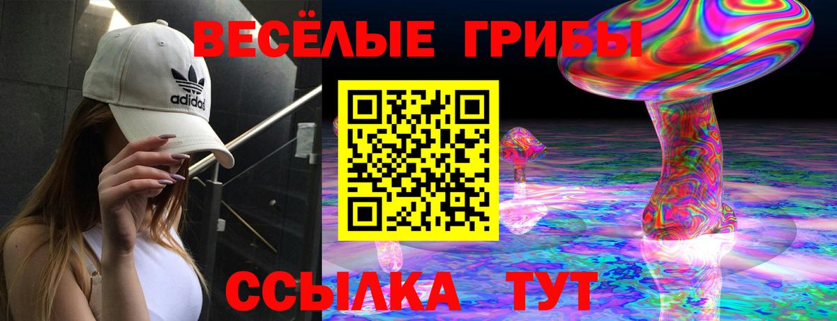 Галлюциногенные грибы MAGIC MUSHROOMS  Псилоцибиновые грибы Magic Shrooms  Вход с VPN  Санкт-Петербург 
